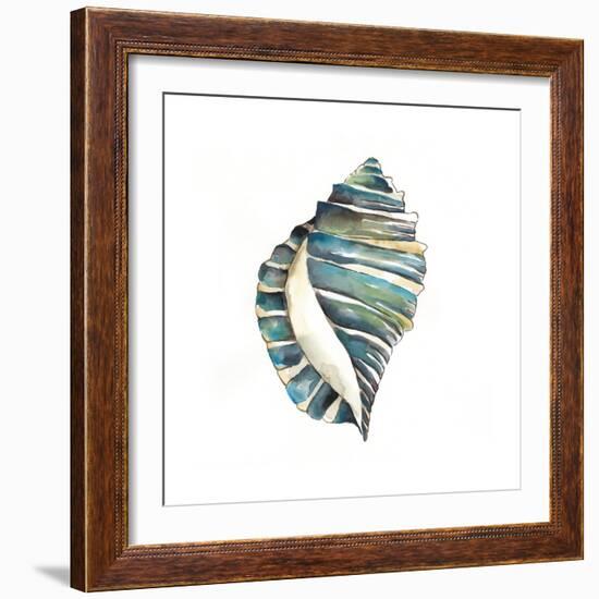 Aquarelle Shells I-Chariklia Zarris-Framed Art Print