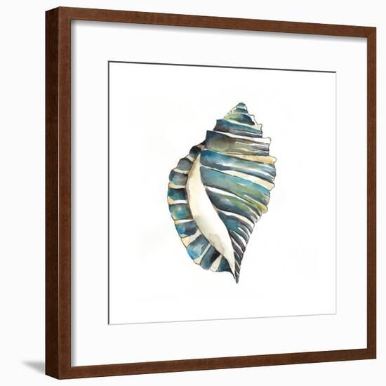 Aquarelle Shells I-Chariklia Zarris-Framed Art Print