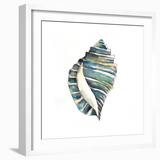 Aquarelle Shells I-Chariklia Zarris-Framed Art Print