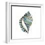 Aquarelle Shells I-Chariklia Zarris-Framed Art Print