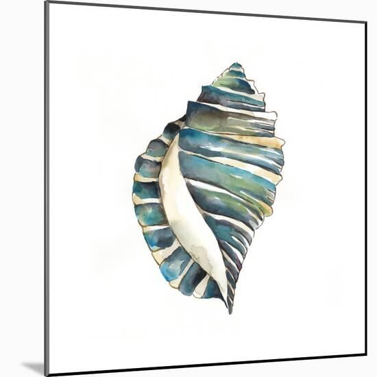 Aquarelle Shells I-Chariklia Zarris-Mounted Art Print