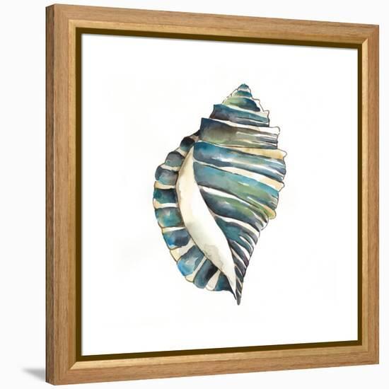 Aquarelle Shells I-Chariklia Zarris-Framed Stretched Canvas