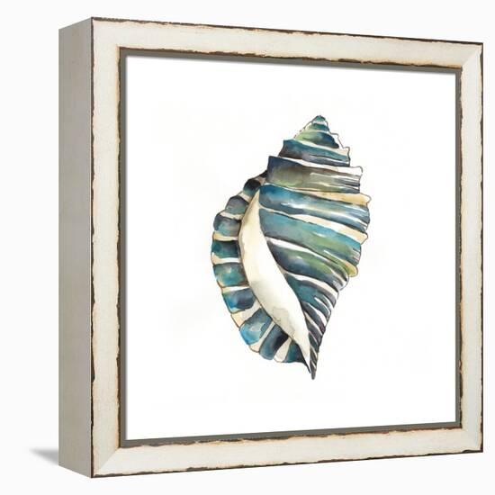 Aquarelle Shells I-Chariklia Zarris-Framed Stretched Canvas