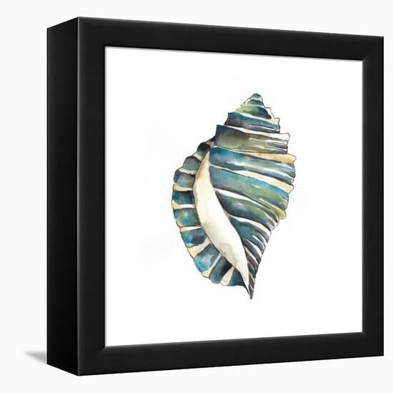 Aquarelle Shells I-Chariklia Zarris-Framed Stretched Canvas