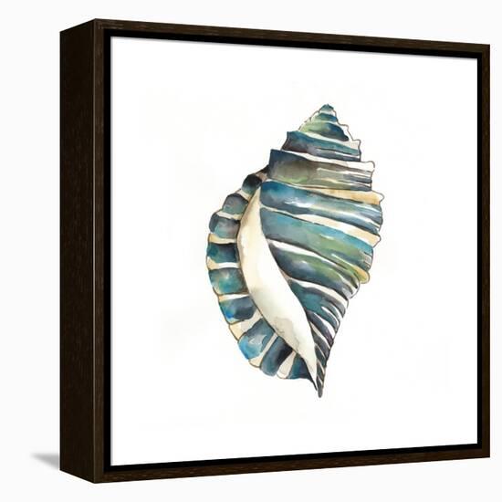 Aquarelle Shells I-Chariklia Zarris-Framed Stretched Canvas