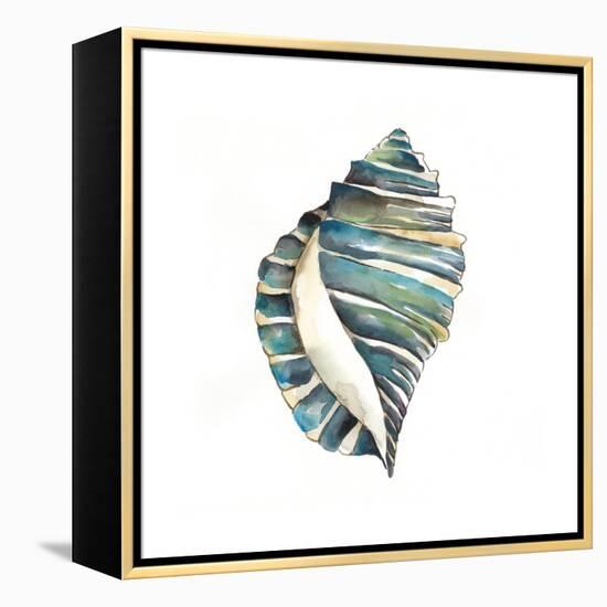 Aquarelle Shells I-Chariklia Zarris-Framed Stretched Canvas