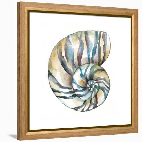 Aquarelle Shells II-Chariklia Zarris-Framed Stretched Canvas