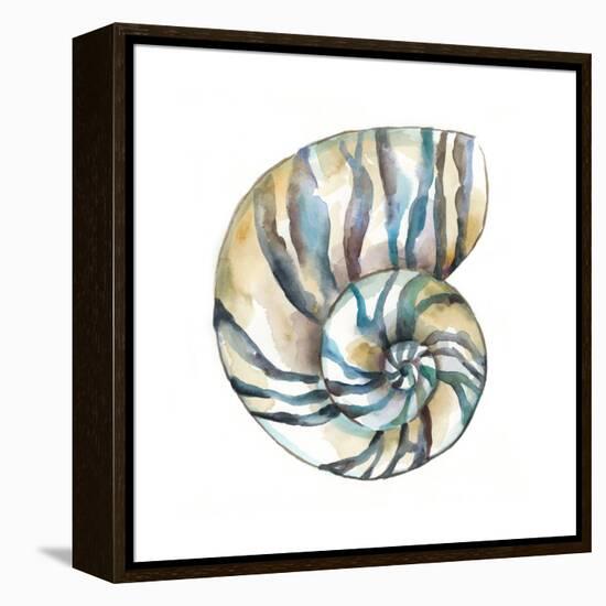 Aquarelle Shells II-Chariklia Zarris-Framed Stretched Canvas