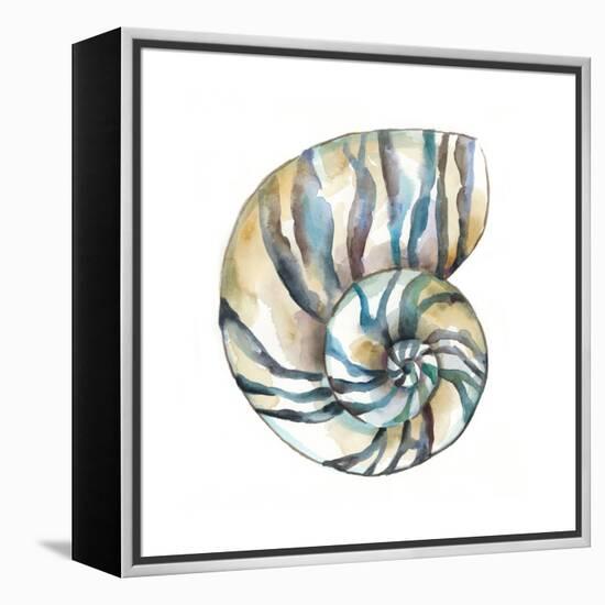 Aquarelle Shells II-Chariklia Zarris-Framed Stretched Canvas