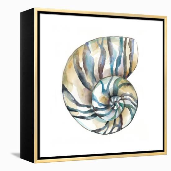 Aquarelle Shells II-Chariklia Zarris-Framed Stretched Canvas