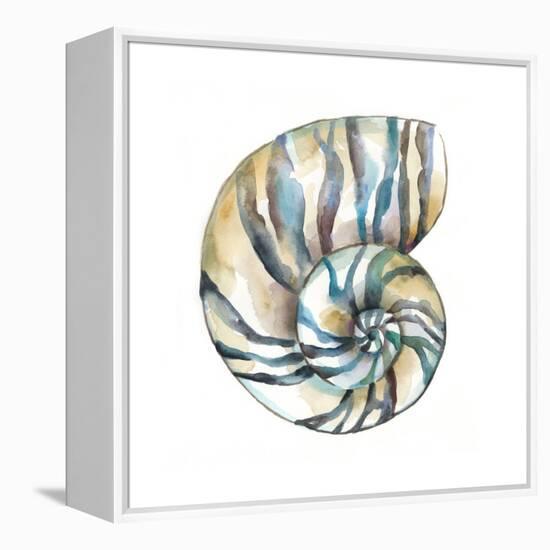 Aquarelle Shells II-Chariklia Zarris-Framed Stretched Canvas