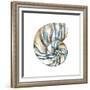 Aquarelle Shells II-Chariklia Zarris-Framed Art Print