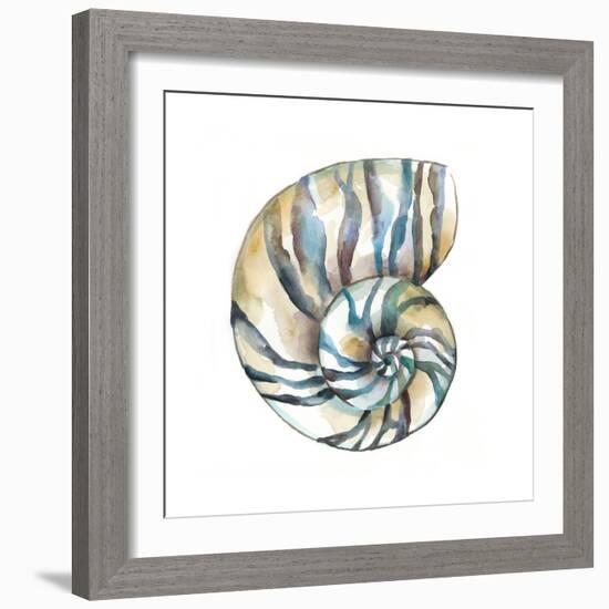 Aquarelle Shells II-Chariklia Zarris-Framed Art Print