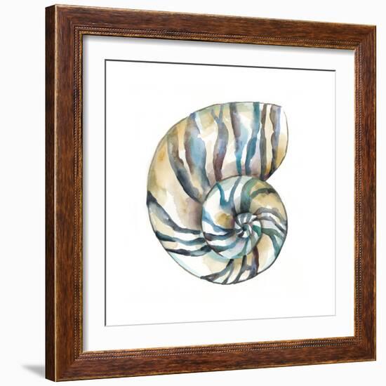 Aquarelle Shells II-Chariklia Zarris-Framed Art Print