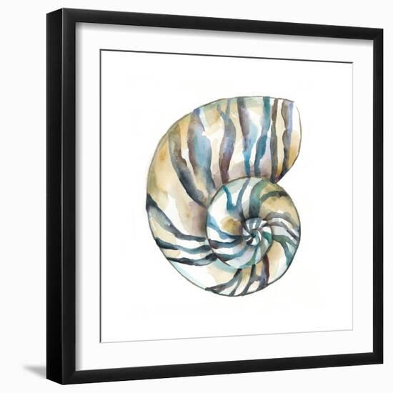 Aquarelle Shells II-Chariklia Zarris-Framed Art Print