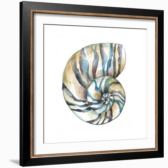 Aquarelle Shells II-Chariklia Zarris-Framed Art Print