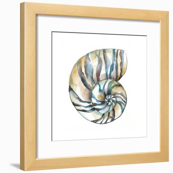 Aquarelle Shells II-Chariklia Zarris-Framed Art Print