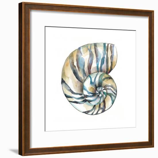 Aquarelle Shells II-Chariklia Zarris-Framed Art Print