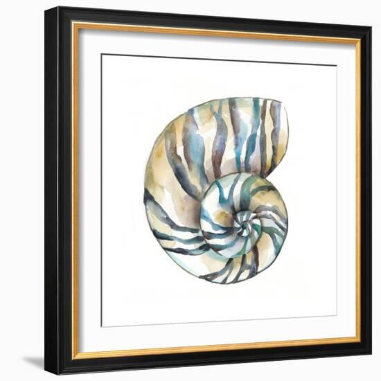 Aquarelle Shells II-Chariklia Zarris-Framed Art Print