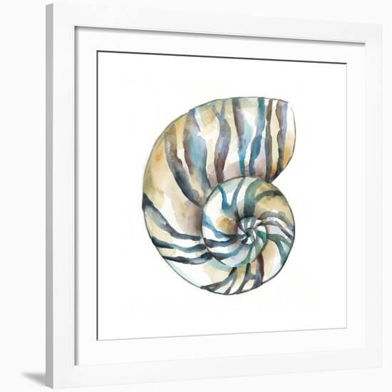 Aquarelle Shells II-Chariklia Zarris-Framed Giclee Print