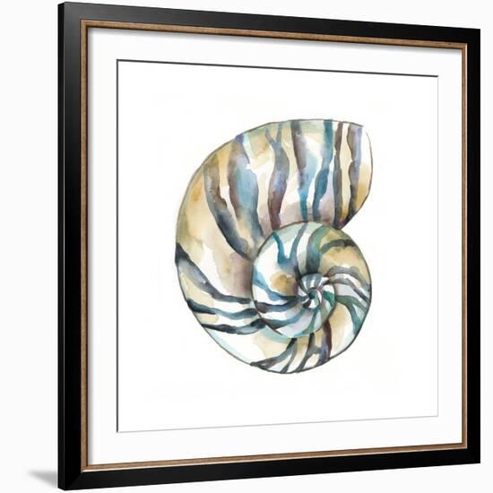 Aquarelle Shells II-Chariklia Zarris-Framed Giclee Print