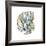 Aquarelle Shells II-Chariklia Zarris-Framed Giclee Print