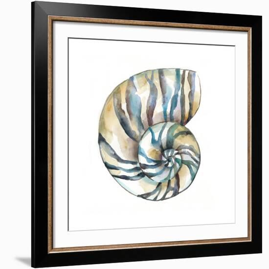 Aquarelle Shells II-Chariklia Zarris-Framed Giclee Print