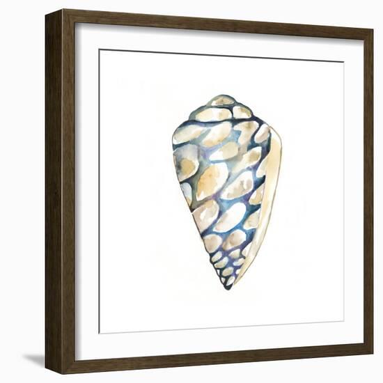 Aquarelle Shells III-Chariklia Zarris-Framed Premium Giclee Print