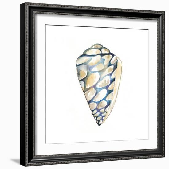 Aquarelle Shells III-Chariklia Zarris-Framed Premium Giclee Print