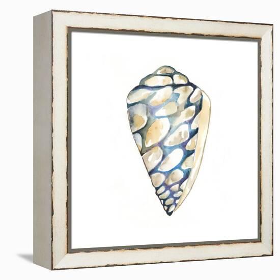 Aquarelle Shells III-Chariklia Zarris-Framed Stretched Canvas