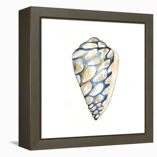 Aquarelle Shells III-Chariklia Zarris-Framed Stretched Canvas