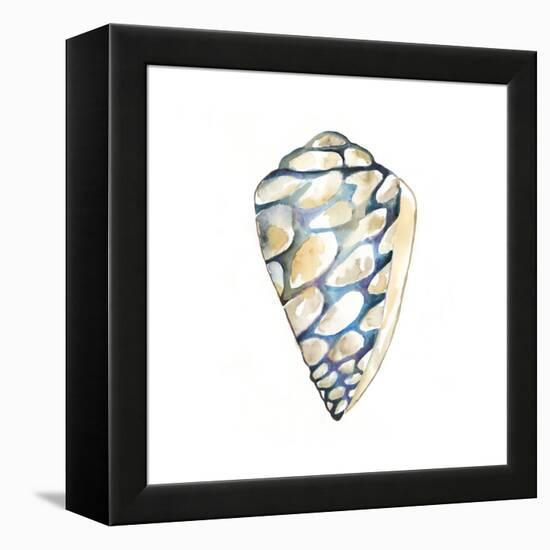 Aquarelle Shells III-Chariklia Zarris-Framed Stretched Canvas