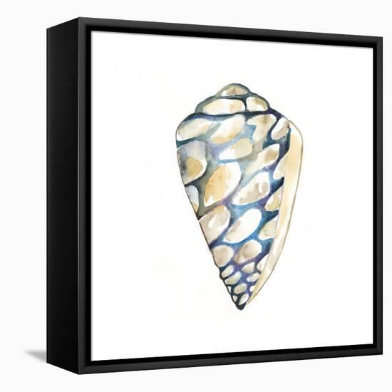 Aquarelle Shells III-Chariklia Zarris-Framed Stretched Canvas