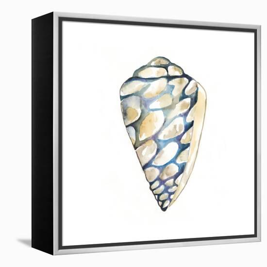 Aquarelle Shells III-Chariklia Zarris-Framed Stretched Canvas