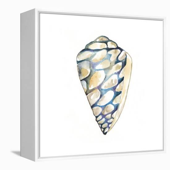 Aquarelle Shells III-Chariklia Zarris-Framed Stretched Canvas