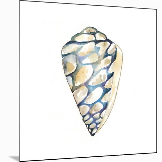 Aquarelle Shells III-Chariklia Zarris-Mounted Premium Giclee Print