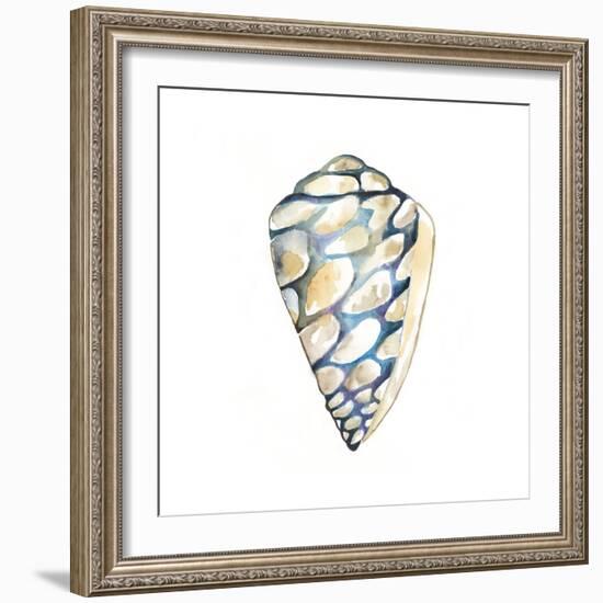 Aquarelle Shells III-Chariklia Zarris-Framed Art Print