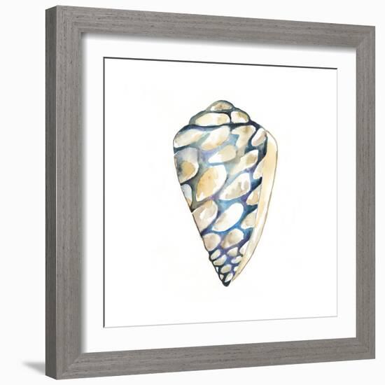 Aquarelle Shells III-Chariklia Zarris-Framed Art Print