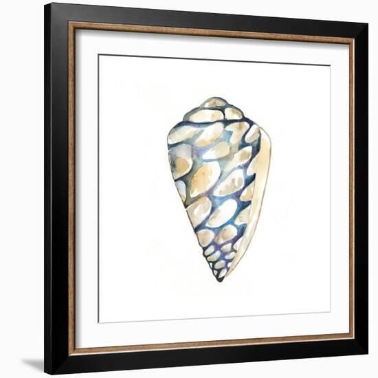 Aquarelle Shells III-Chariklia Zarris-Framed Art Print