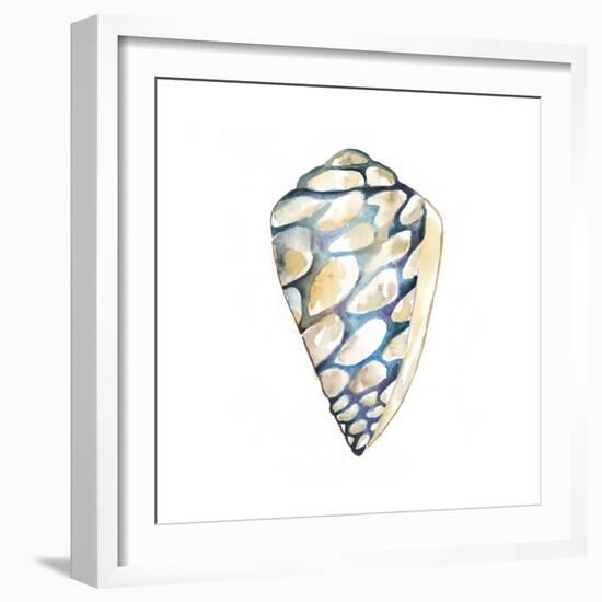 Aquarelle Shells III-Chariklia Zarris-Framed Art Print