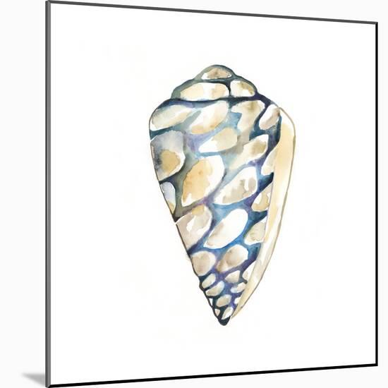 Aquarelle Shells III-Chariklia Zarris-Mounted Art Print