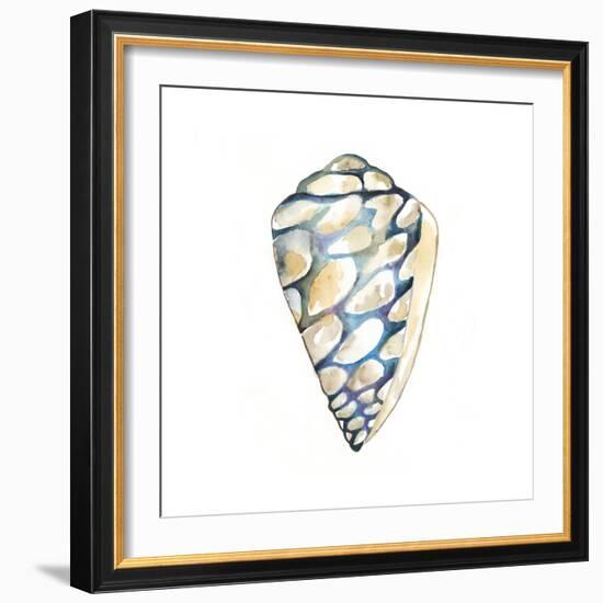 Aquarelle Shells III-Chariklia Zarris-Framed Art Print