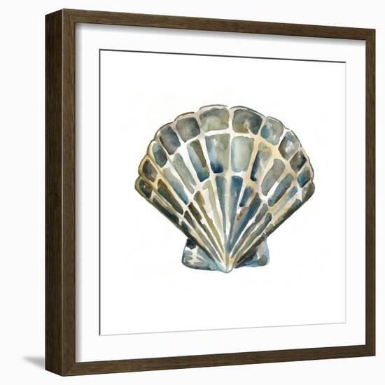 Aquarelle Shells IV-Chariklia Zarris-Framed Premium Giclee Print