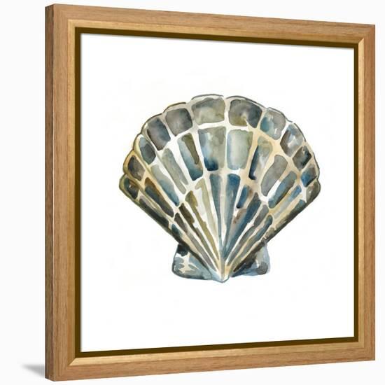 Aquarelle Shells IV-Chariklia Zarris-Framed Stretched Canvas