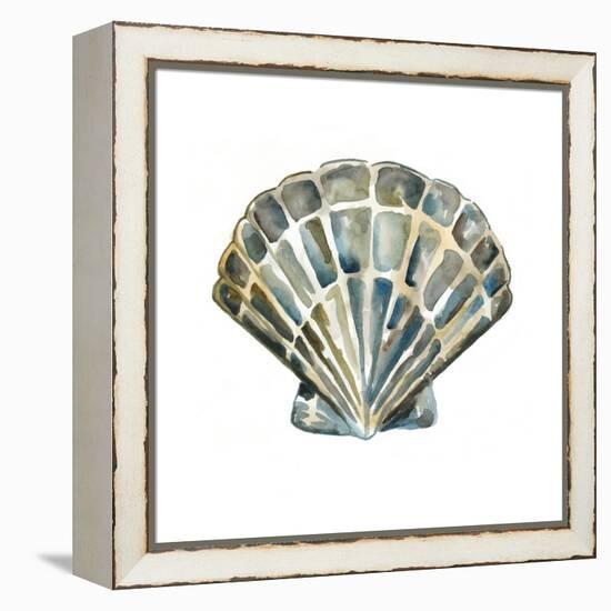 Aquarelle Shells IV-Chariklia Zarris-Framed Stretched Canvas