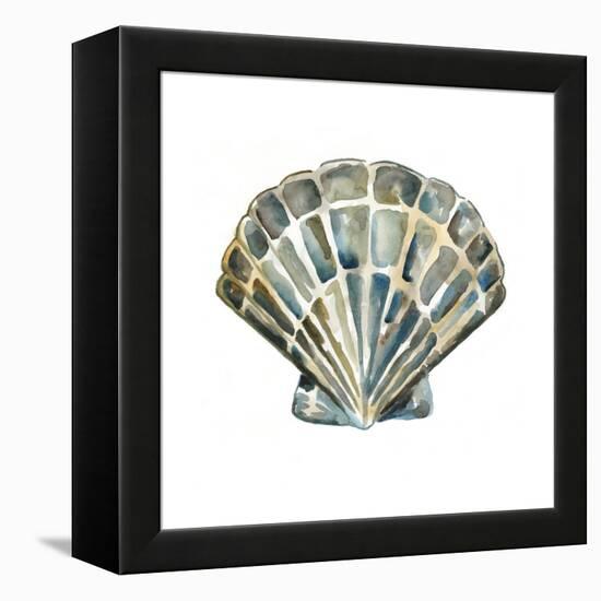 Aquarelle Shells IV-Chariklia Zarris-Framed Stretched Canvas