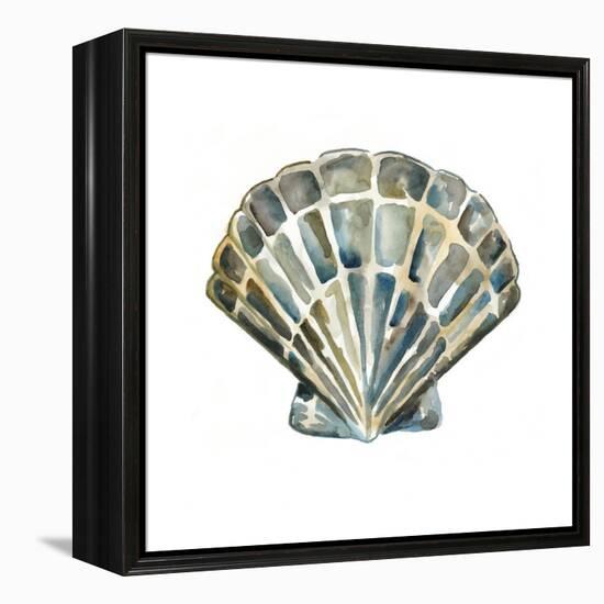 Aquarelle Shells IV-Chariklia Zarris-Framed Stretched Canvas