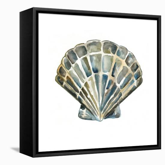 Aquarelle Shells IV-Chariklia Zarris-Framed Stretched Canvas