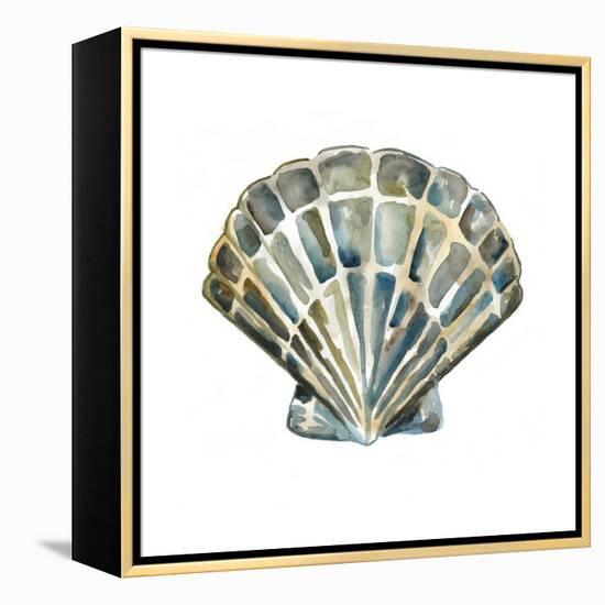 Aquarelle Shells IV-Chariklia Zarris-Framed Stretched Canvas