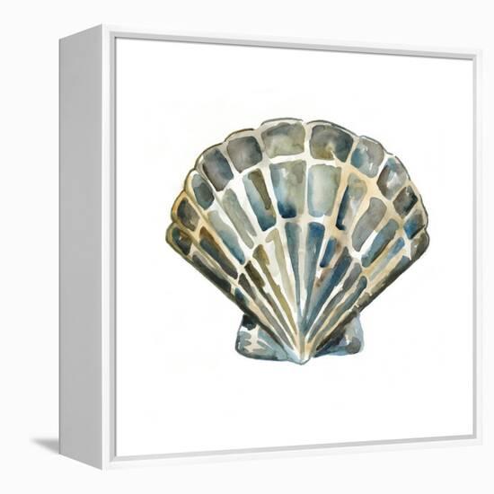 Aquarelle Shells IV-Chariklia Zarris-Framed Stretched Canvas